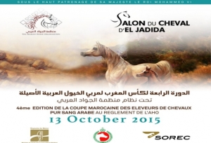el jadida horse show 2015