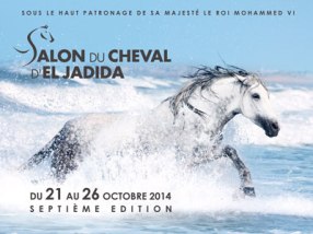 el jajdida horse fair and show maroc-salon-du-cheval-2014